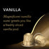 L'OR 30 Count Pack Espresso Capsules, Variety Vanilla/Chocolate/Caramel, Single-Serve Aluminum Coffee Capsules