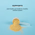 Ancient Nutrition Protein Powder, Vanilla, 20g Protein Per Serving, 20 Serving Tub, Gluten Free Bone Broth