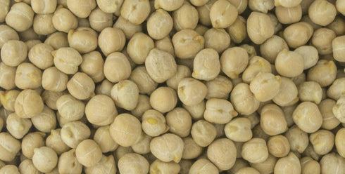(3 LB) Organic Garbanzo Beans (ChickPeas)-Raw/Non-GMO/Kosher Sproutable Low Sodium Bulk Vegan Dietary Fiber