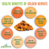 1 oz 2g 5g 8 oz Alovitox Sun Dried Golden Berries | Raw, Fresh & Organic | Contains Protein & Fiber, Low-Calorie
