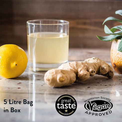 Willy's Organic Apple Cider Vinegar with Mother - Detox Probiotics for Gut Wellness