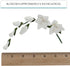 3 Count Global Sugar Art Freesia Sugar Cake Flowers Filler Spray, White, by Chef Alan Tetreault