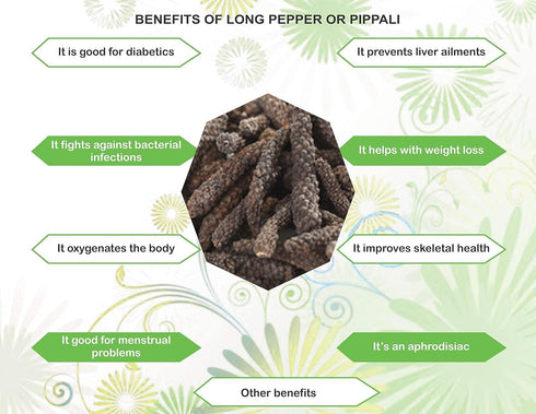 AYURVEDASHREE Whole Long Pepper, Best Indian Long Pepper (Pippali) 100 Gm Pack