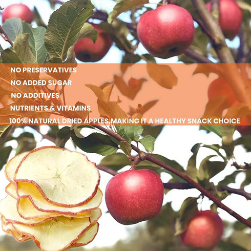 3.52oz 100g WAKIKI Dried Apple Slices,Dehydrated Apples, Dried Apples, No Added Sugar, No Nothing, Dried Fruit Tea