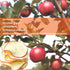 3.52oz 100g WAKIKI Dried Apple Slices,Dehydrated Apples, Dried Apples, No Added Sugar, No Nothing, Dried Fruit Tea