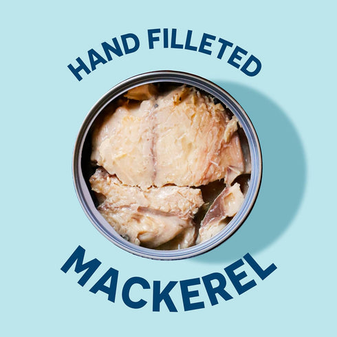 5 oz, (Pack 12) Wild Planet Wild Pacific Mackerel Fillets (SABA), Skin-On & Boneless, Delicious & Sustainable, Tinned
