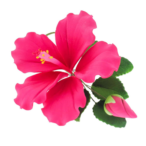 Global Sugar Art Hibiscus Sugar Cake Flower Spray, Hot Pink Hawaiian Cake Flower, 1 Count by Chef Alan Tetreault