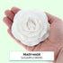 4 Count Global Sugar Art Peony Rose Sugar Cake Flowers, White, by Chef Alan Tetreault
