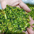 UpBots 14.1oz. Dried broccoli soups and sauces and dried vegetables