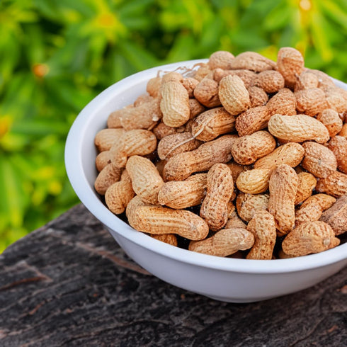2 lbs Naturalee Peanuts, In Shell - Roasted, Salted - Natural Healthy Snack