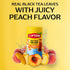 10ct/1ea Pack) Lipton Ice Tea Infuse (Hibiscus Rapberry, Green Tea Citrus, Black Tea Peach) - Cold Brew Tea Bags