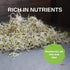 4 Oz Certified Organic Dried Green Lentil Sprouting Seed: - Handy Pantry Dry Lentils for Planting Garden Seeds, Soup