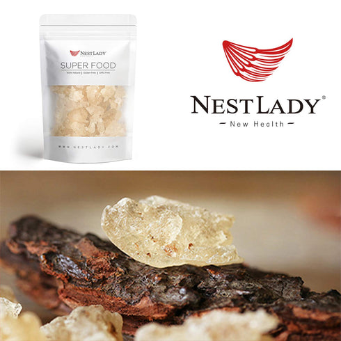 NESTLADY Natural Wild Tragacanth Gum “Snow Swallow” - 110g / 3.88oz