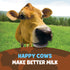 1% 64 Oz Organic Valley, Milk Uht Low Fat Chocolate, Fl