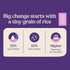 15oz (3 Pack) Jasberry - Organic Superfood Rice, Soft & Aromatic Whole Grain Purple Rice, High in Antioxidants