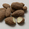 The Brittle Box Candy Co. Brazil nuts coated in chocolate and dusted in cocoa 1 pound hand