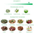 '+1,200 16.9 oz WellEatable High mg/kg Polyphenol Rich Olive Oil, Award-Winning Early Harvest, Organic Extra Virgin