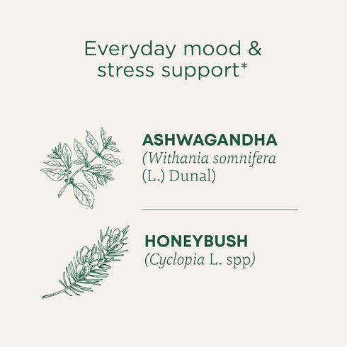 16 Traditional Medicinals Organic, Stress Ease Calm with Adaptogens, Ashwagandha & Honeybush - Promotes Relaxation