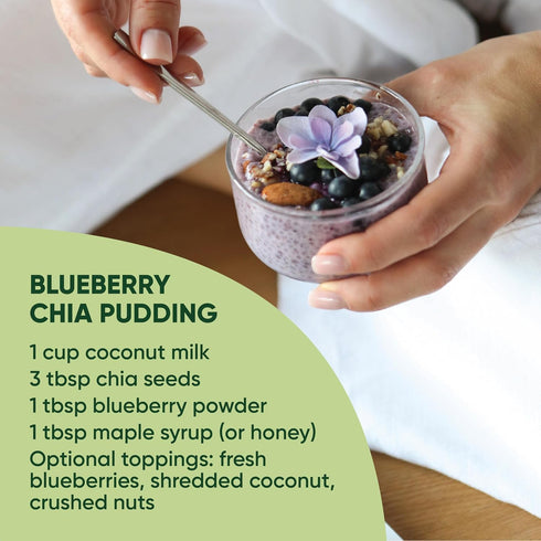 5 Wild Blueberry Powder Organic Ounce Bag USDA Certified & Lab Tested - Freeze Dried Blueberries No Added Sugar