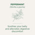 96 (6 Pack) Traditional Medicinals Tea, Organic Peppermint, Soothes Your Belly, Refreshing & Minty, Tea Bags