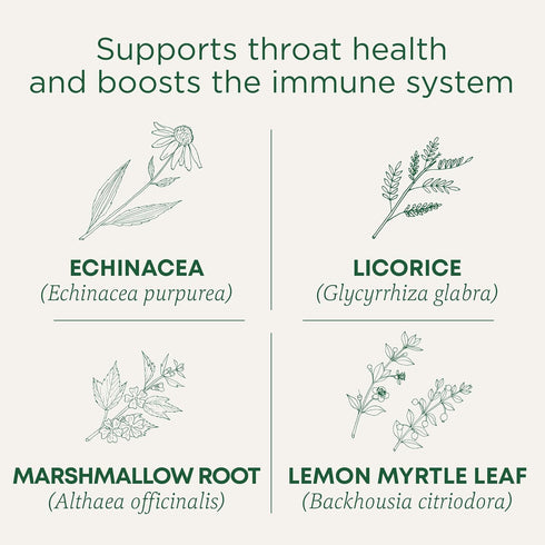 Immune 96 (6 Pack) Traditional Medicinals Tea, Organic Throat Coat Lemon Echinacea, Supports Throat Health & Function