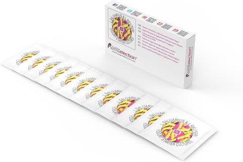 (Pack 12 Starter Cultures for L.Salivarius and L. Reuteri Homemade Yogurt of sachets)