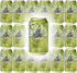 Dr.Brown's Dr. Brown's Cel-Ray Celray Soda, 12oz Can (Pack of 18, Total of