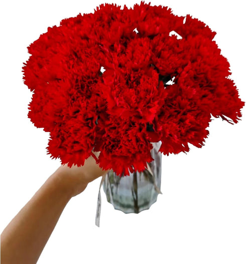 38 Red Carnation Flowers Hydroponic Flower Arrangement Mothers Day Gift Home Decor Birthday Anniversary Healing