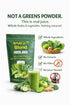 TrueBlend (240 Green Juice Powder Whole Fruit & Vegetable Drink Mix g Pouch)