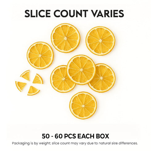 3oz/85gm 50 60 Dried Lemon Slices to Pcs, Citrus Dehydrated Fruit For Cocktails, Lemons For Cocktail and Decor