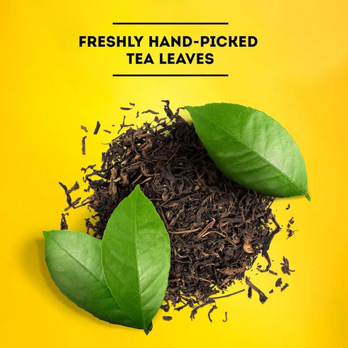 24 (2ea) Pack) Lipton Iced Tea Family Size Tea Bags, Original & Decaf CT (Variety