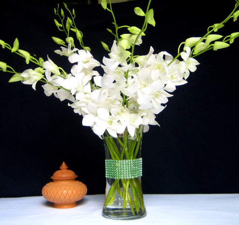 Just Orchids Fresh Flowers White Dendrobium Orchids with Vase