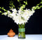 Just Orchids Fresh Flowers White Dendrobium Orchids with Vase