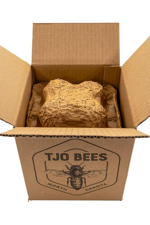 (5 LB (80 OZ) TJO Bees Raw and Unfiltered Honey Jar)