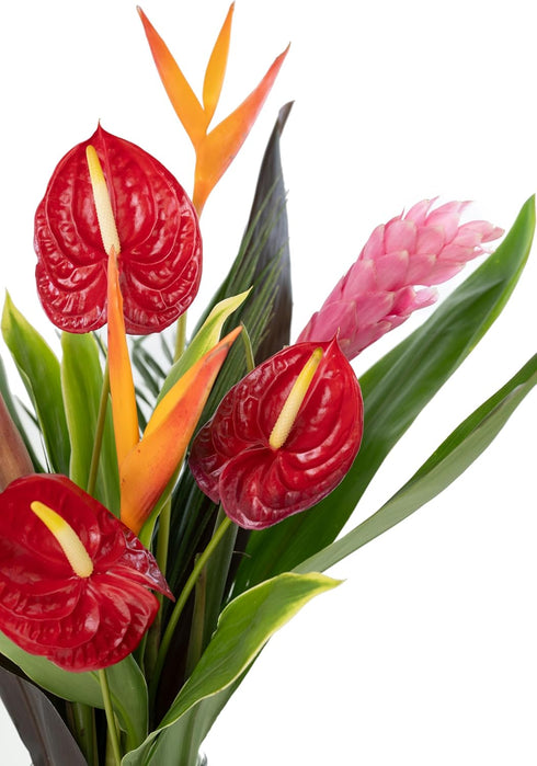 Generic Fresh Orchids and Tropical Flower Bouquet, Red Anthuriums, Red Ginger, Heliconia, Mixed Foliage, Hawaiian