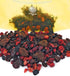 1 SweetGourmet Premium Dried Mixed Berries | Cherries, Cranberries, Blueberries, Strawberries | NON GMO | No Sulfur