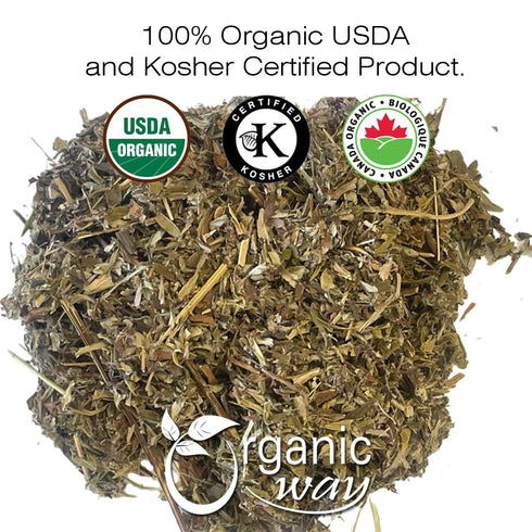 Organic Way Mugwort Herb Loose Leaf Cut & Sifted (Artemisia Vulgaris) Herbal Tea | European Wild-Harvest | Kosher & USDA Certified | Vegan, Non-GMO & Gluten Free | 100% Raw from Albania (1/4LBS / 4Oz)