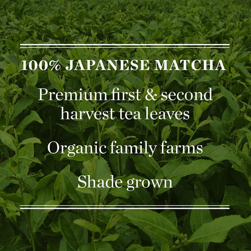 3 100% Mighty Leaf Tea, Organic Matcha Green Tea Powder - Ounce Bag, Japanese Matcha, Unsweetened