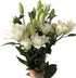 5 stems fresh-cut multi-petal lilies Scented for a long time and good for hydroponic flower arrangements Shipped