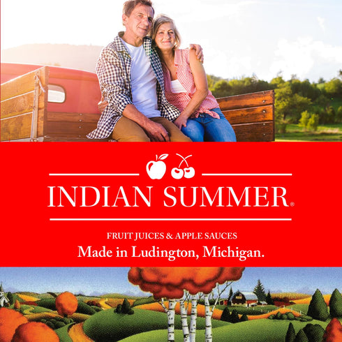 Summer 23 (Pack 6), Indian Chunky Peach Applesauce, Ounce of Made in USA