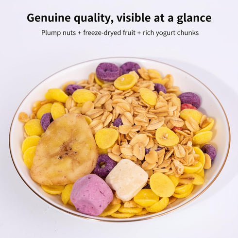 SODGHYTR 500g/17.64oz -Yogurt Fruit Baked Cereal Nutritional breakfast, low sugar, CongeeDietary FiberChinese Food