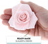 3 Inch 3 Count Global Sugar Art Peace Rose Sugar Cake Flowers, Pink Wired, by Chef Alan Tetreault