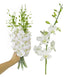 (10 Sunne Tropical OrchidClub USA Fresh Cut Flowers Dendrobium Orchids Stems WHITE)