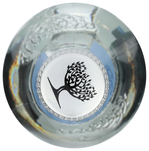 16.9 Oz Fever-Tree, Club Soda Spring, Fl