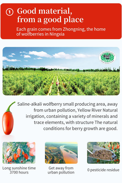 100% -15ml*20 Goji Berries Fruit Puree Raw Liquid Drink (Wolfberries Juice) pure juice Undiluted PCSNo Added Sugar