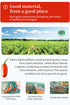 100% -15ml*20 Goji Berries Fruit Puree Raw Liquid Drink (Wolfberries Juice) pure juice Undiluted PCSNo Added Sugar