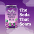 10g 45 (12 Pack, SkyPop Protein Soda - Next-Generation Soda Crafted with Bold Flavor, of Whey Protein, & Only Calories