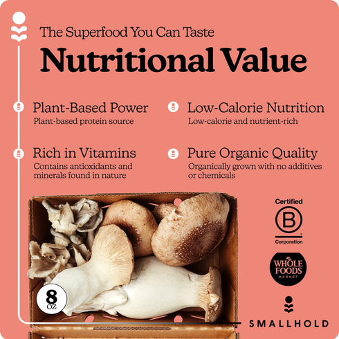 Smallhold Pack 8oz Fresh Organic Umami Mushroom | Locally Grown Gourmet Mushroom | Ready to Cook, Nutrient-Dense