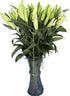 10 stems giant white lilies Fresh Flower Bouquet Gifts for Birthday Anniversary Friendship and Love