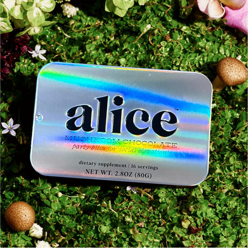 1 Pack Alice Mushrooms Party Trick | Functional Mushroom Chocolate for Social Enjoyment | Cordyceps, Kanna & Nootropics